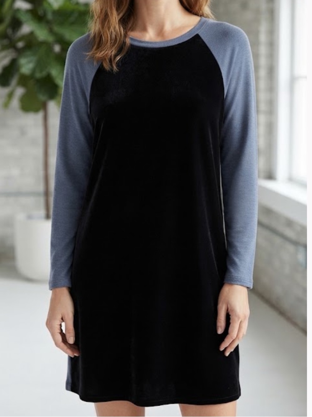 Velvet by Graham & Spencer Dress